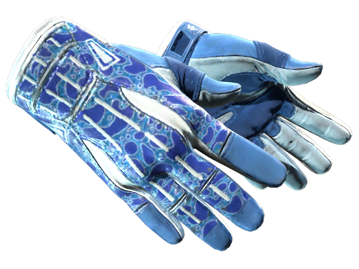 ★ Sport Gloves | Amphibious (Factory New)