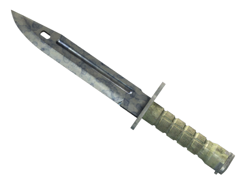 ★ Bayonet | Stained (Field-Tested)