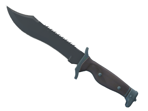★ Bowie Knife | Night (Factory New)